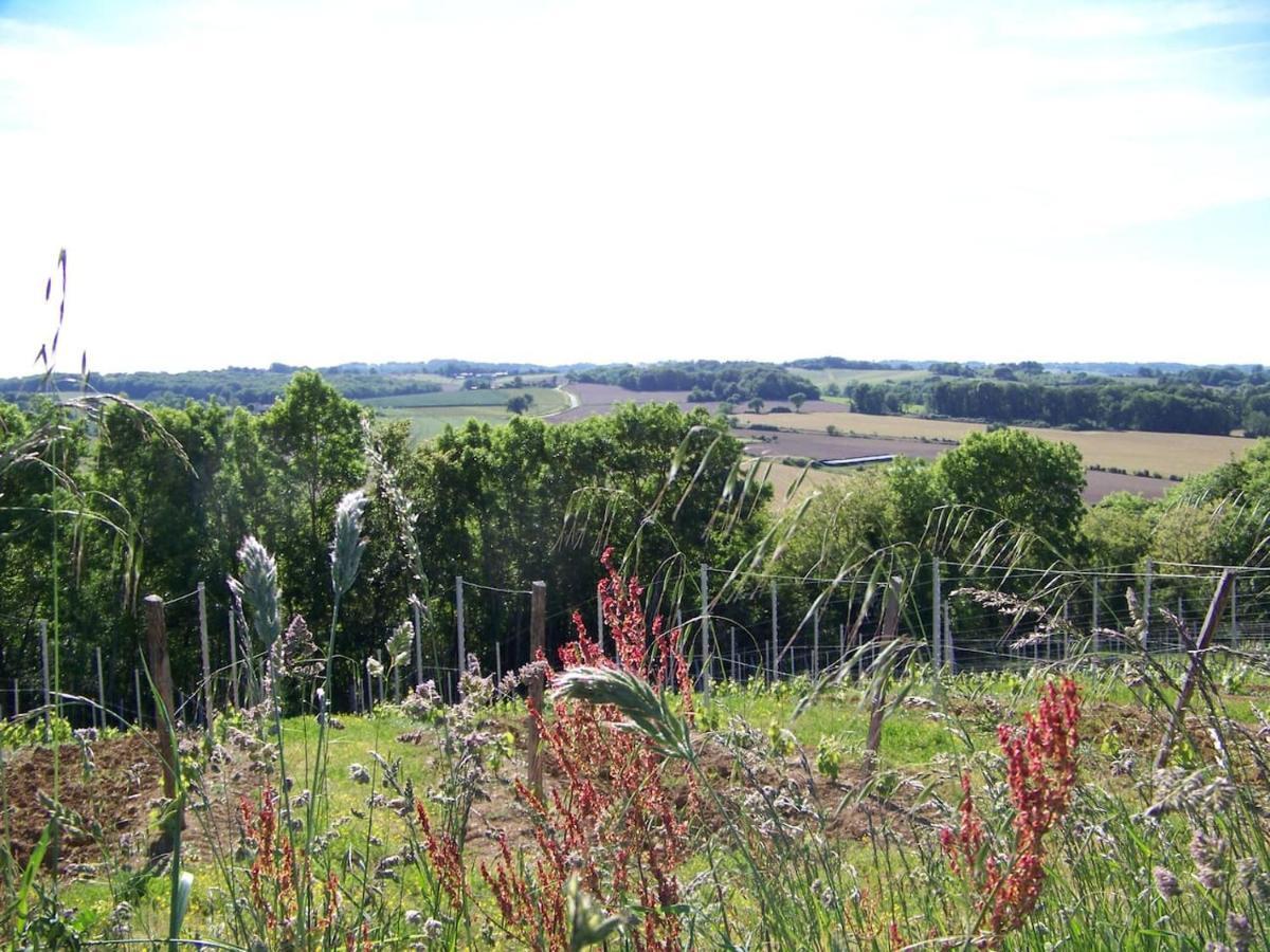 Gite, Jacuzzi & Vin Au Grenier De Madiran Exterior foto